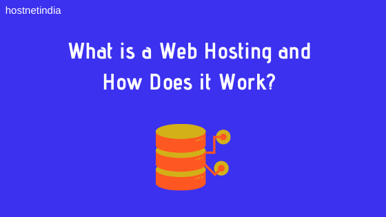 what is web hosting